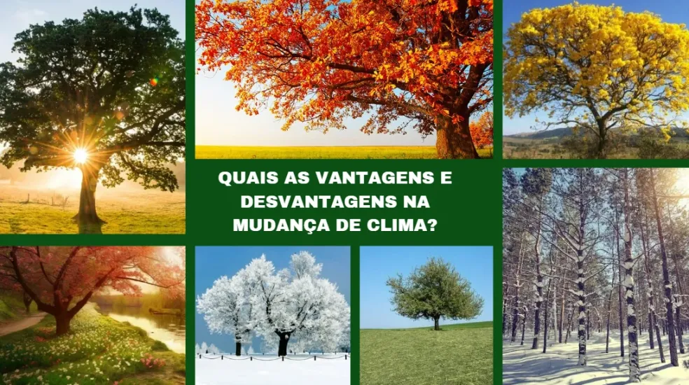 QUAIS AS VANTAGENS E DESVANTAGENS NA MUDANÇA DE CLIMA?